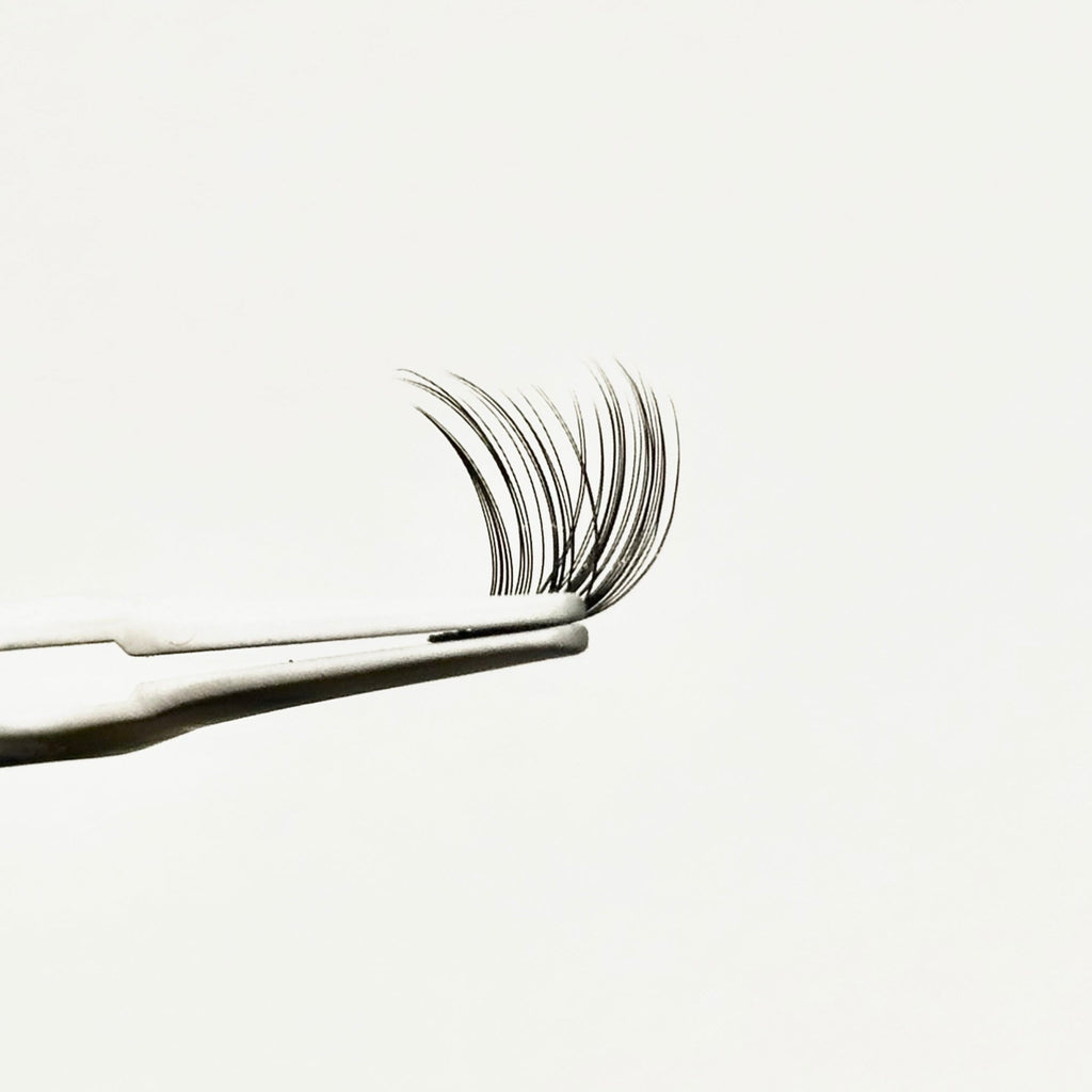 XOXO, F. FEMME FATALE