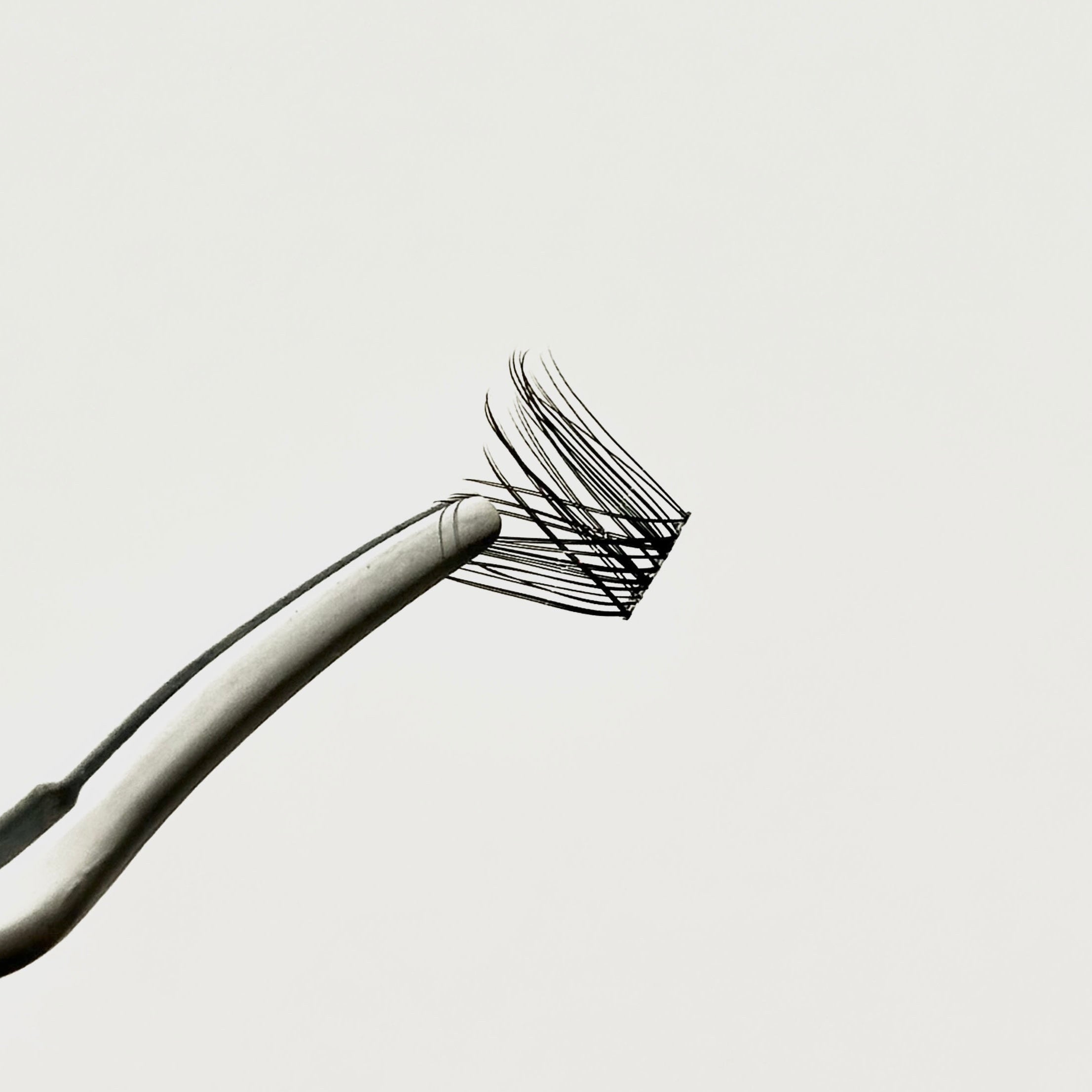 XOXO, F. FEMME FATALE