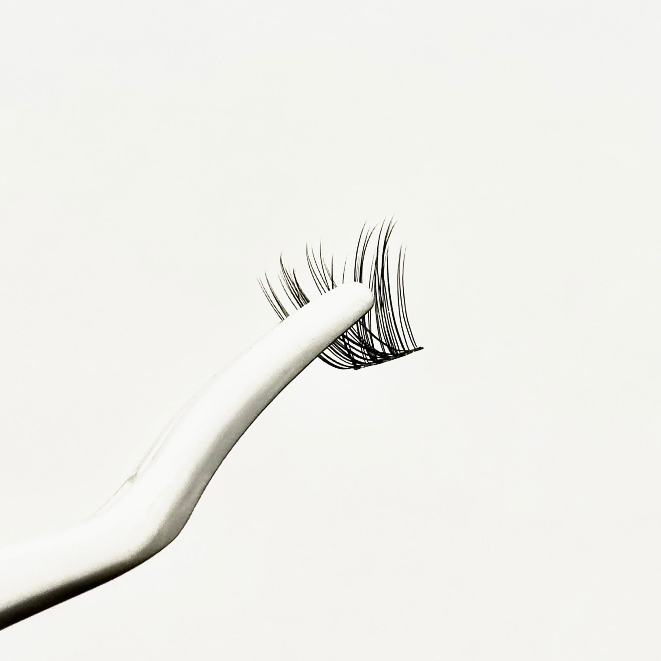 XOXO, F. FEMME FATALE