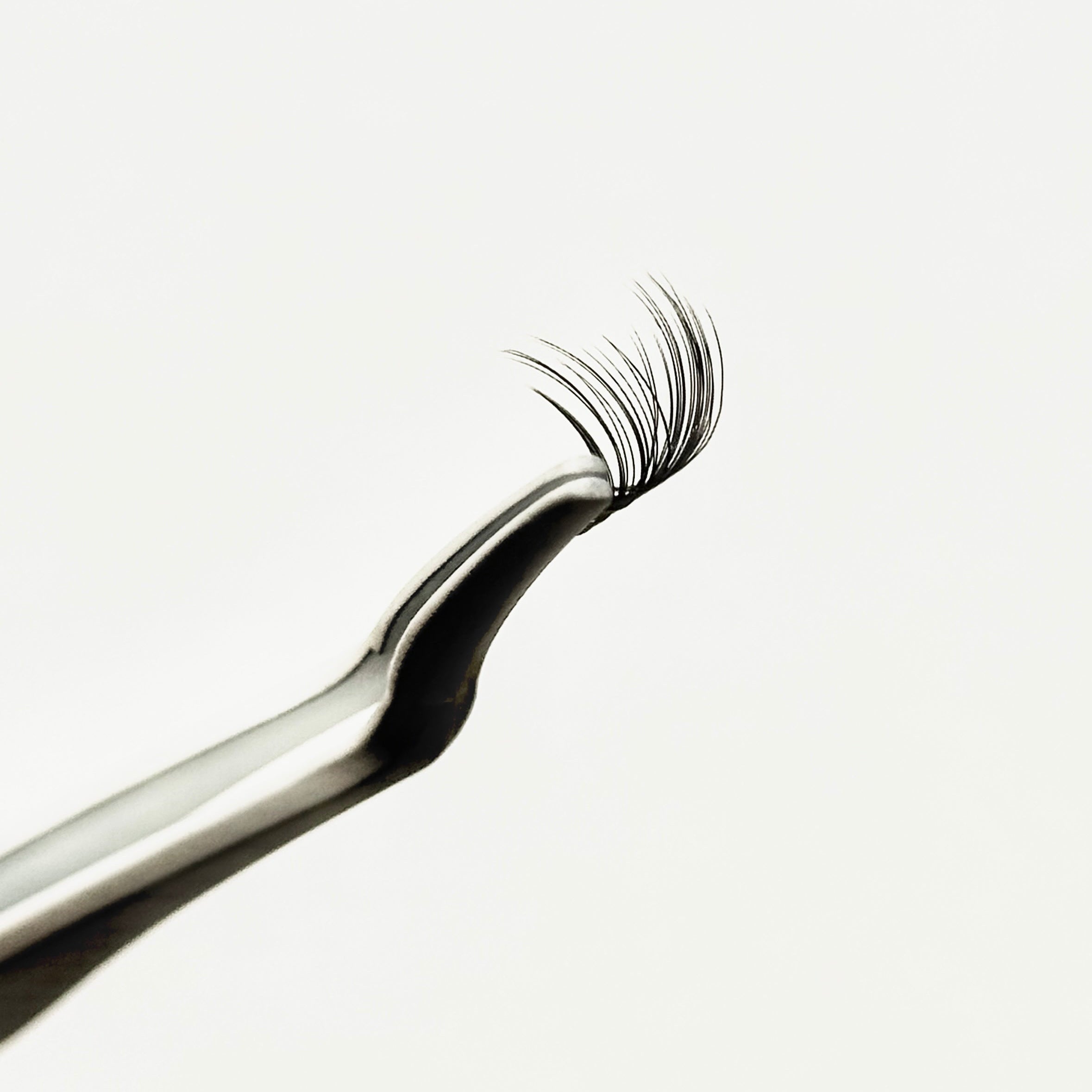 XOXO, F. FEMME FATALE