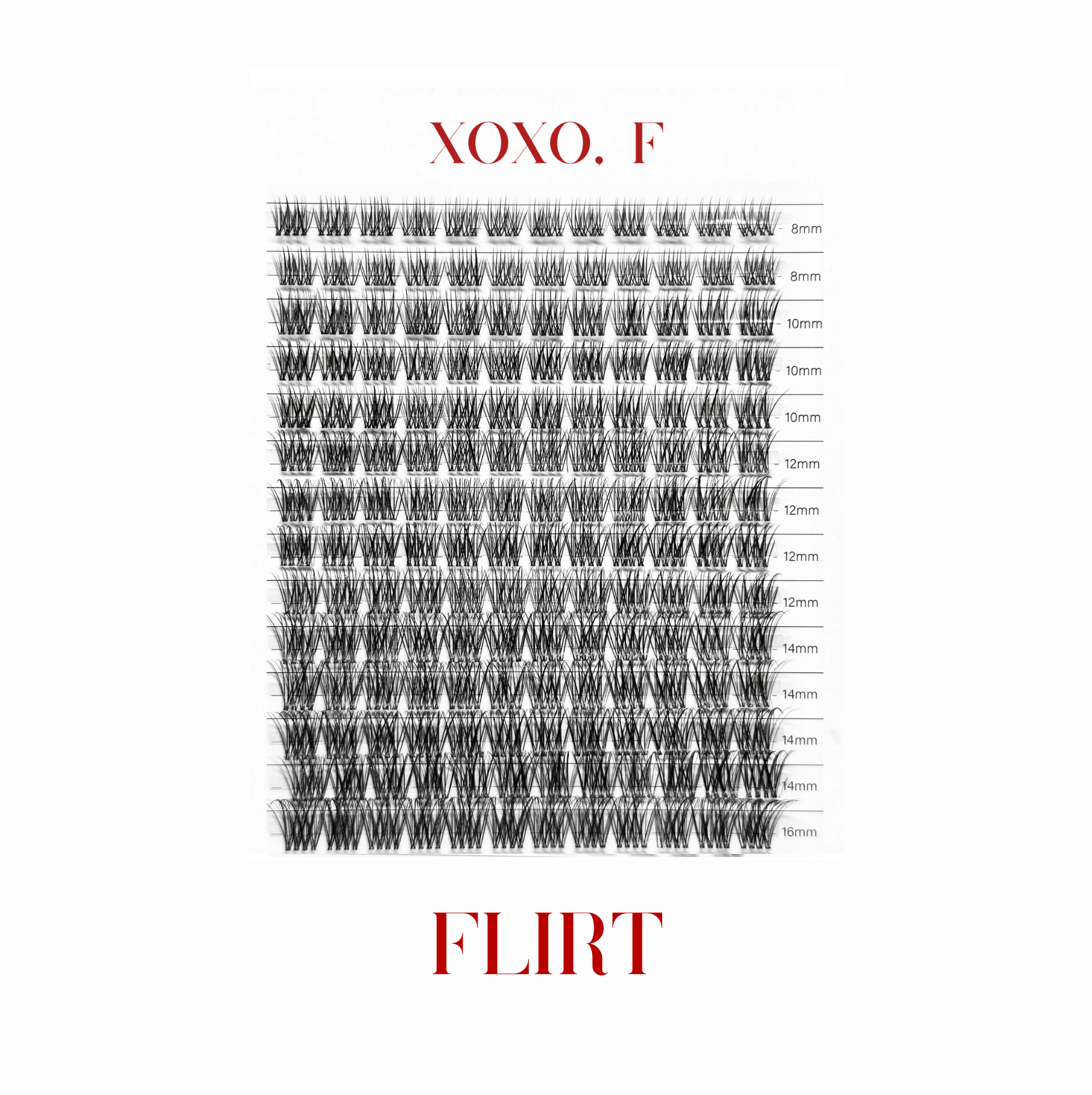 XOXO, F. All-in-One Lash Kit