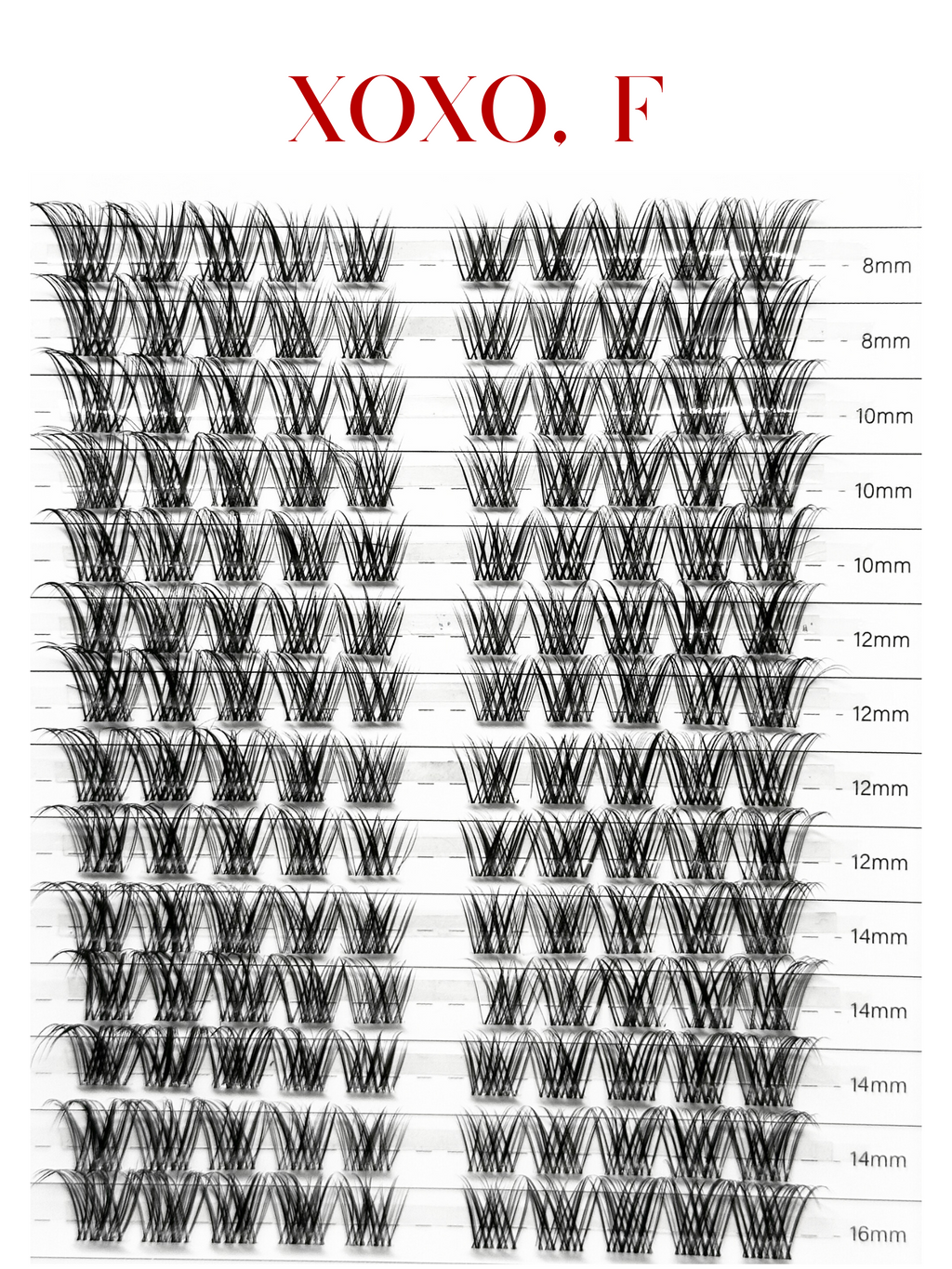 XOXO, F. FEMME FATALE