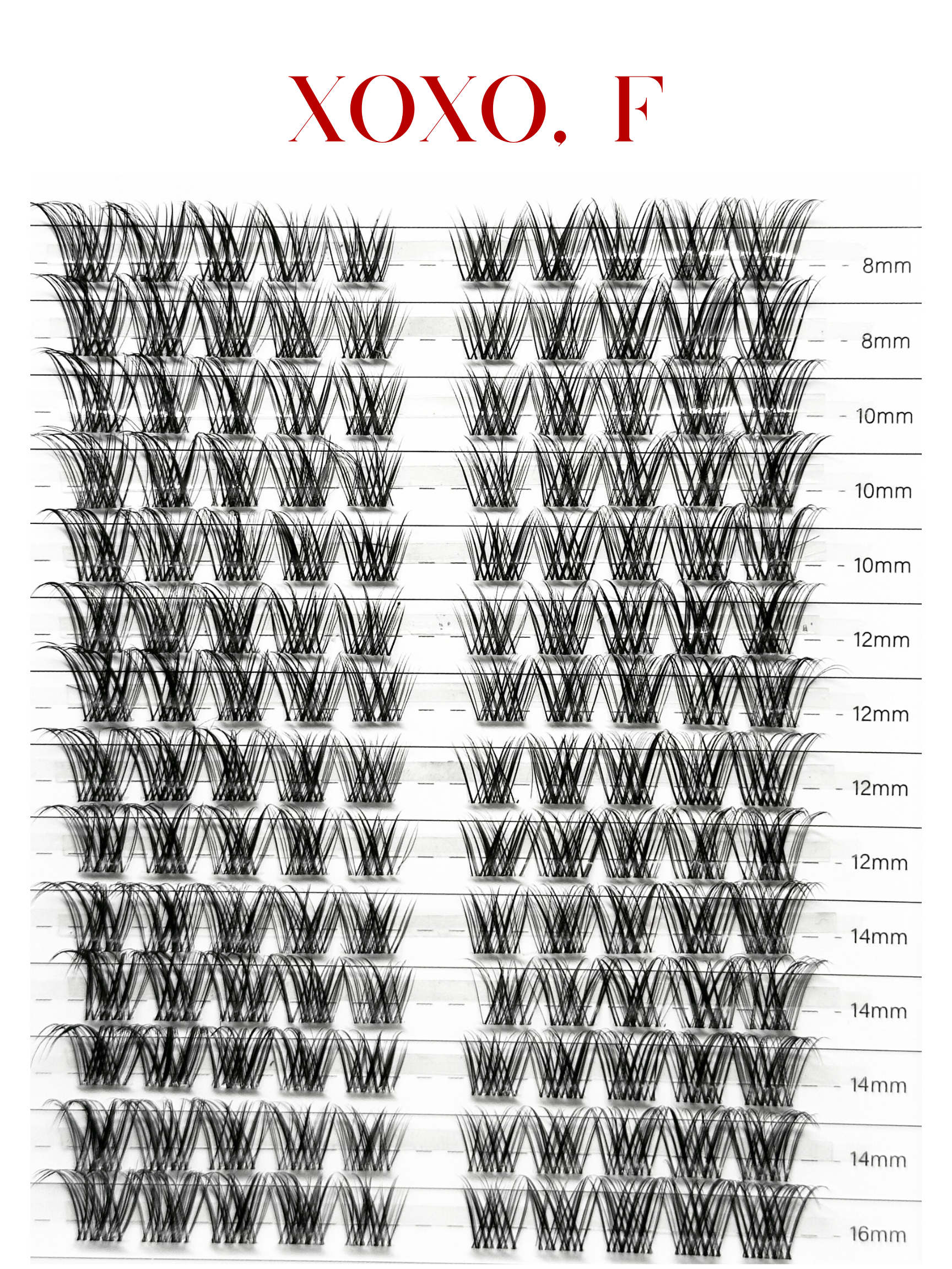 XOXO, F. FEMME FATALE